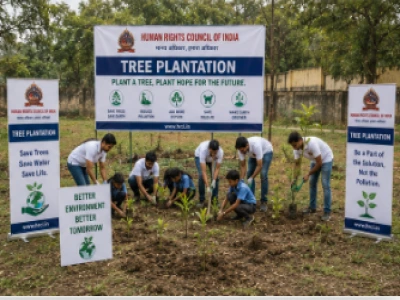 Tree Plantation